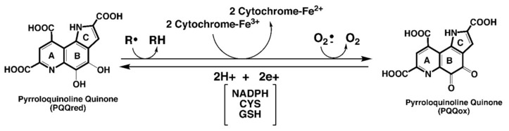 包含圖片、插圖等的外部文件。
對象名稱為 biomolecules-11-01441-g001.jpg