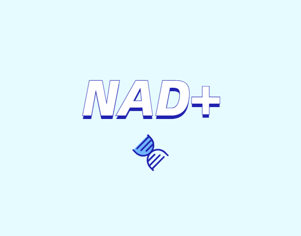 NAD與NMN的全新概念？