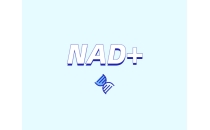 NAD在健康中有什么潛在作用？