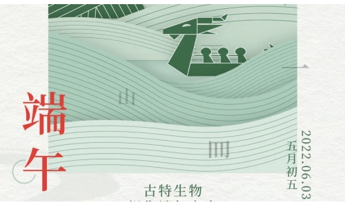 端午 - 爭(zhēng)流而上，行舟踏浪