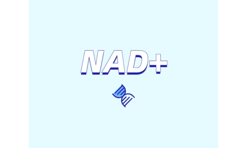 NAD+ 對(duì)身體有什么作用？如何獲取 NAD+？