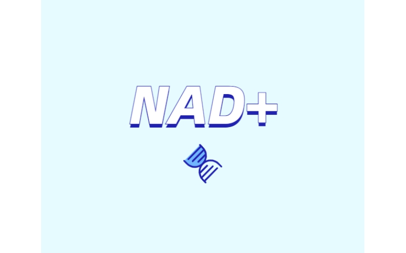 NAD與NMN的全新概念？